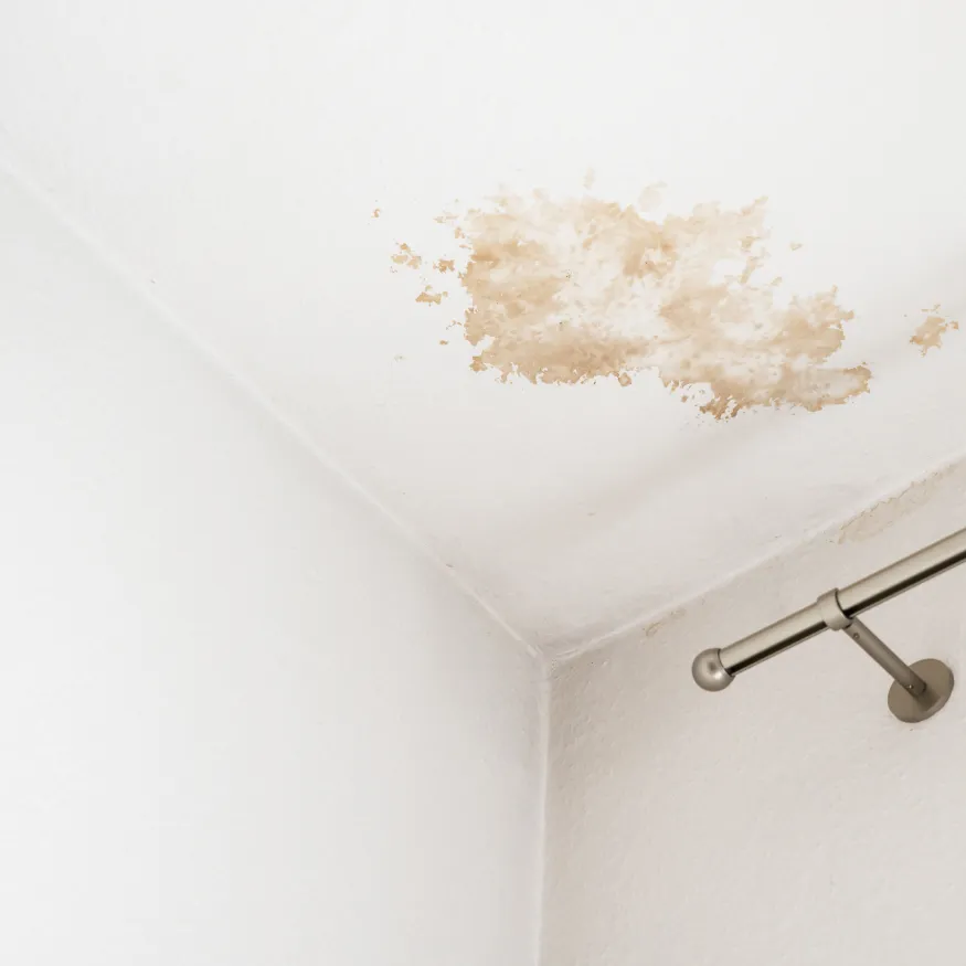 Humidité suite à une fuite de toiture