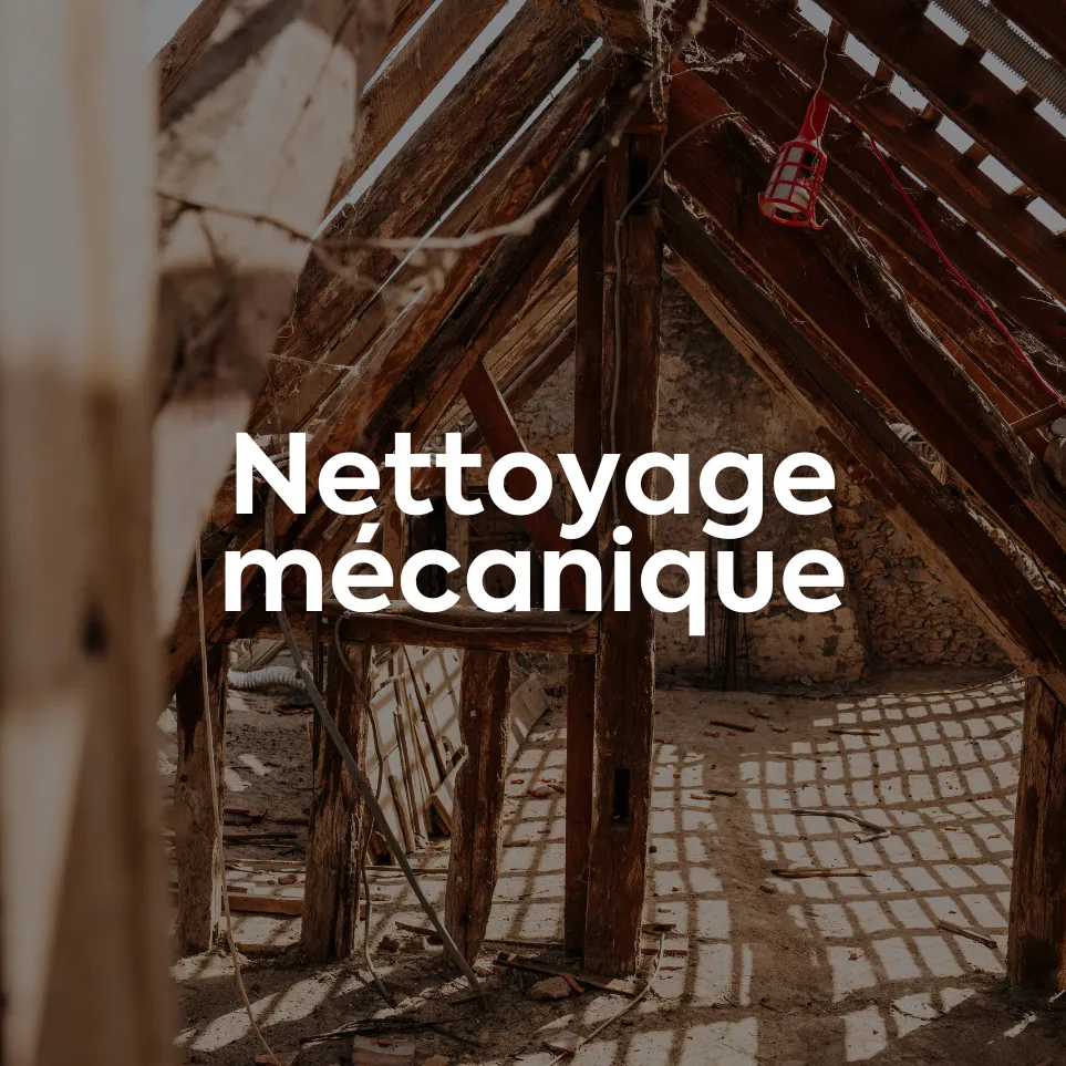 Nettoyage mécanique du bois de charpente